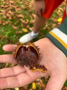 eda141d1 4e6d 4db3 9e4b 8e8dda884dd7